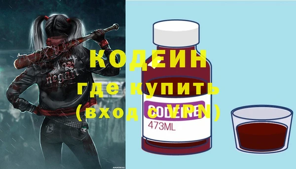 шишки Дмитриев