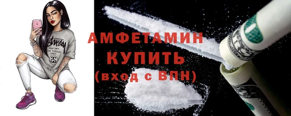 шишки Дмитриев