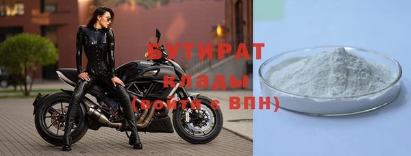 шишки Дмитриев