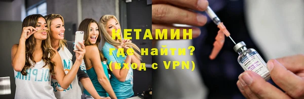 шишки Дмитриев