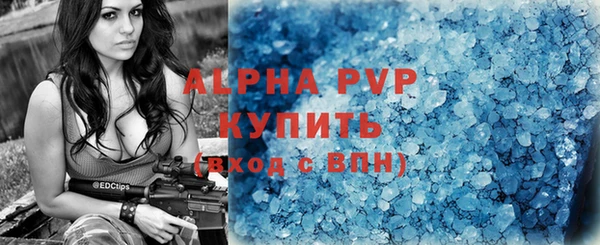 соль ск Дмитров