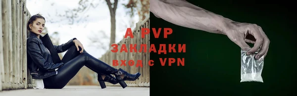 соль ск Дмитров