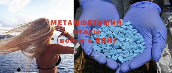 шишки Дмитриев