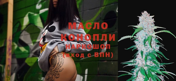 шишки Дмитриев