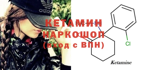шишки Дмитриев