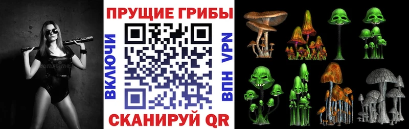 Купить  Сыктывкар  Псилоцибиновые грибы Cubensis 