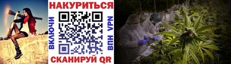Марихуана сатива  Купить  Сыктывкар 